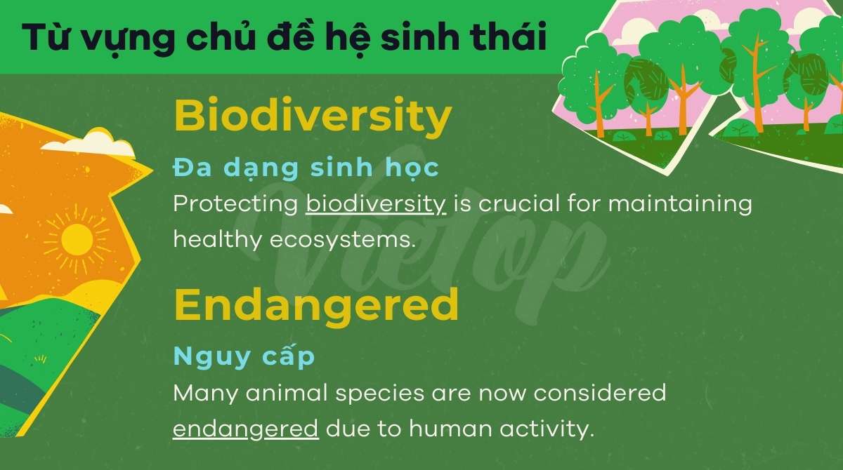 từ vựng IELTS Writing Task 2 chủ đề environment