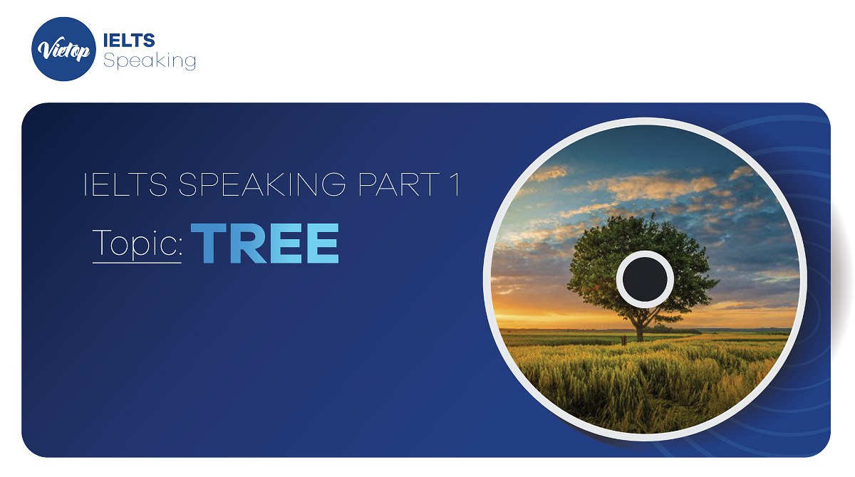 Bài mẫu topic Tree - IELTS Speaking part 1