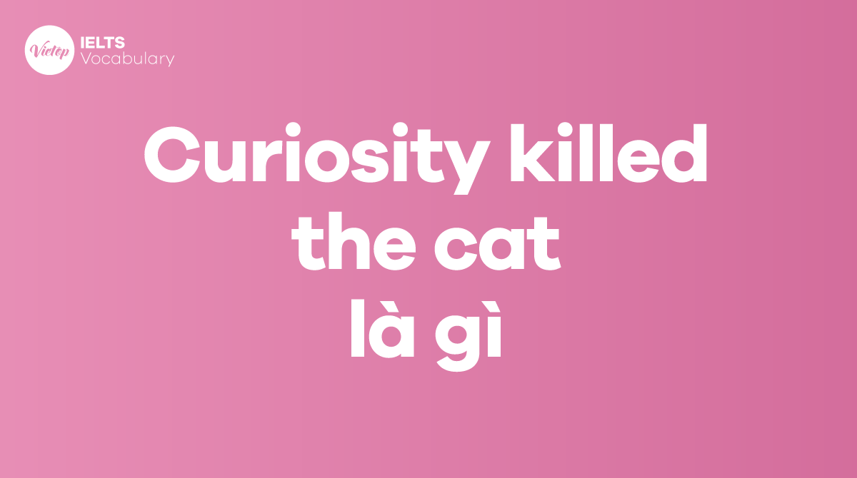 Curiosity killed the cat là gì Áp dụng trong giao tiếp