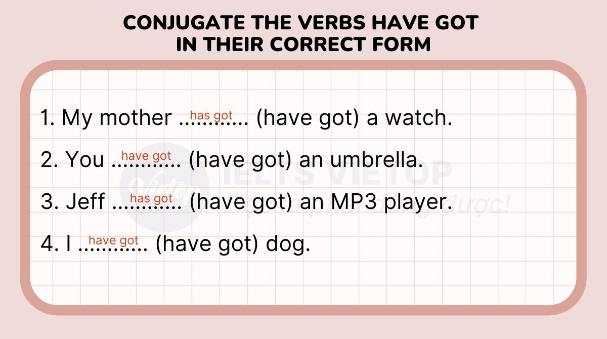 Conjugate the verbs have got in their correct form