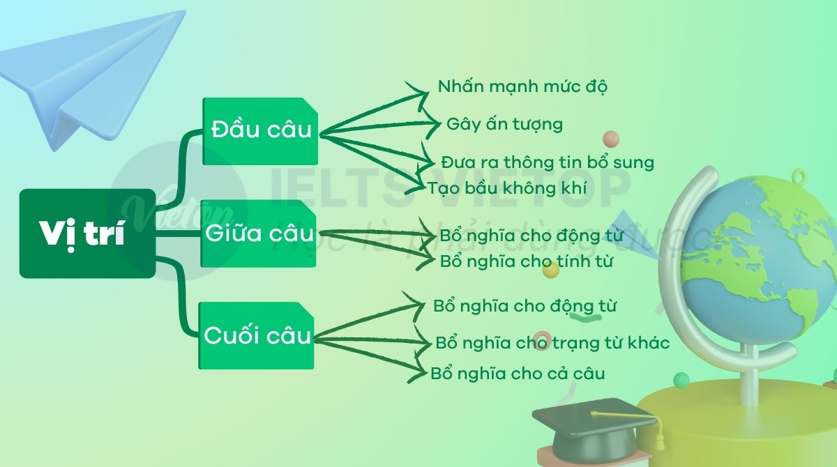 Vi tri hau to cua trang tu