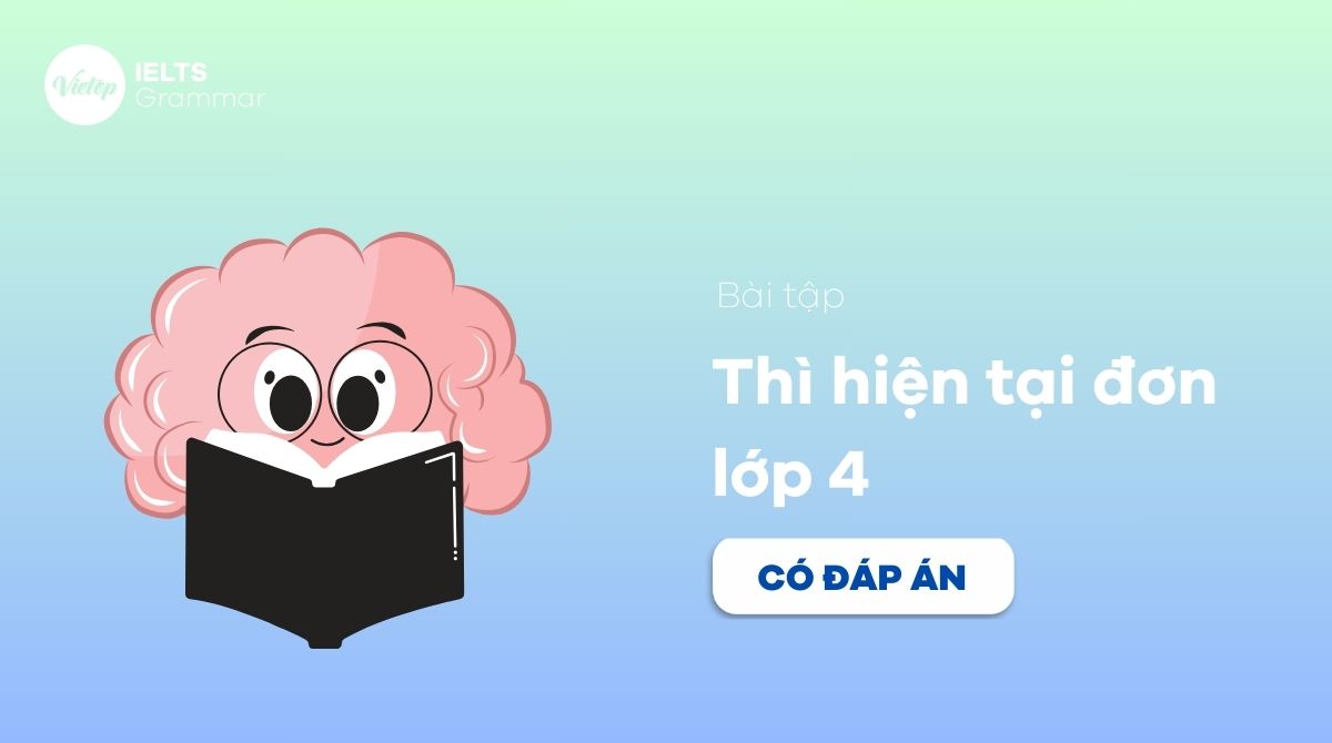 Bài tập thì hiện tại đơn lớp 4