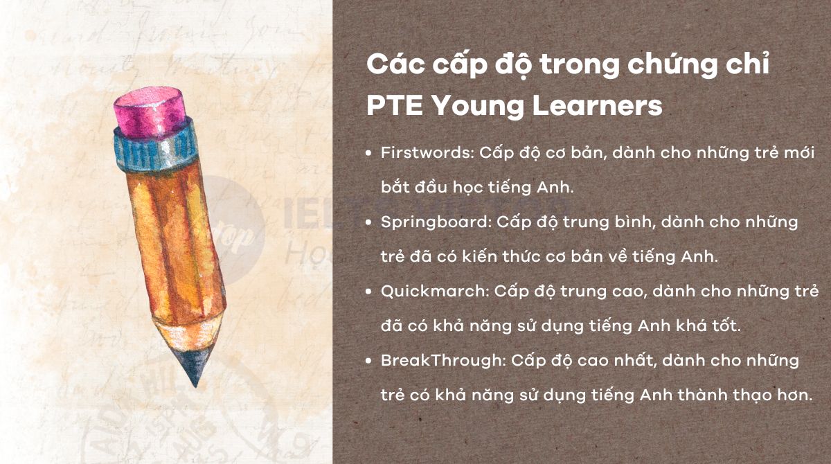 Các cấp độ chứng chỉ PTE Young Learners