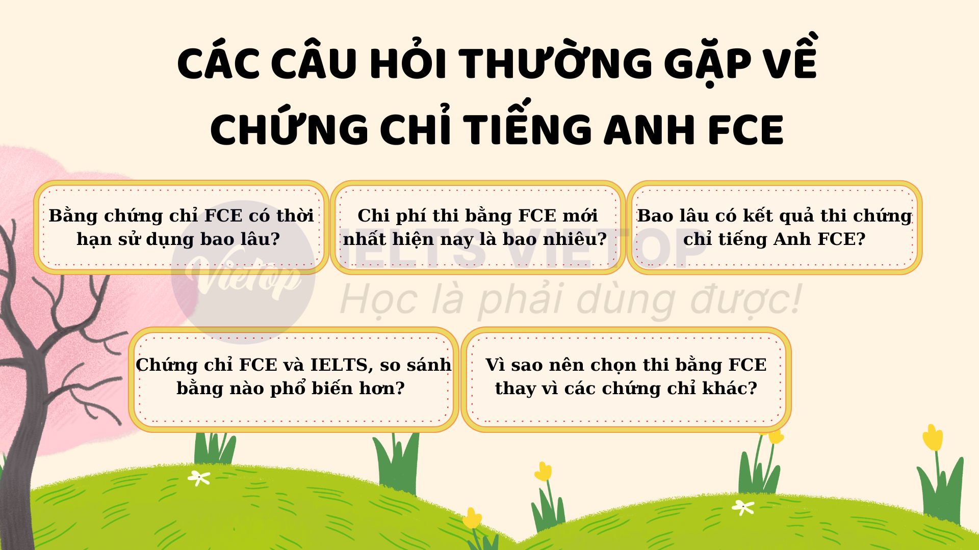 Cập nhật các câu hỏi về chứng chỉ tiếng Anh FCE mà có thể bạn chưa biết