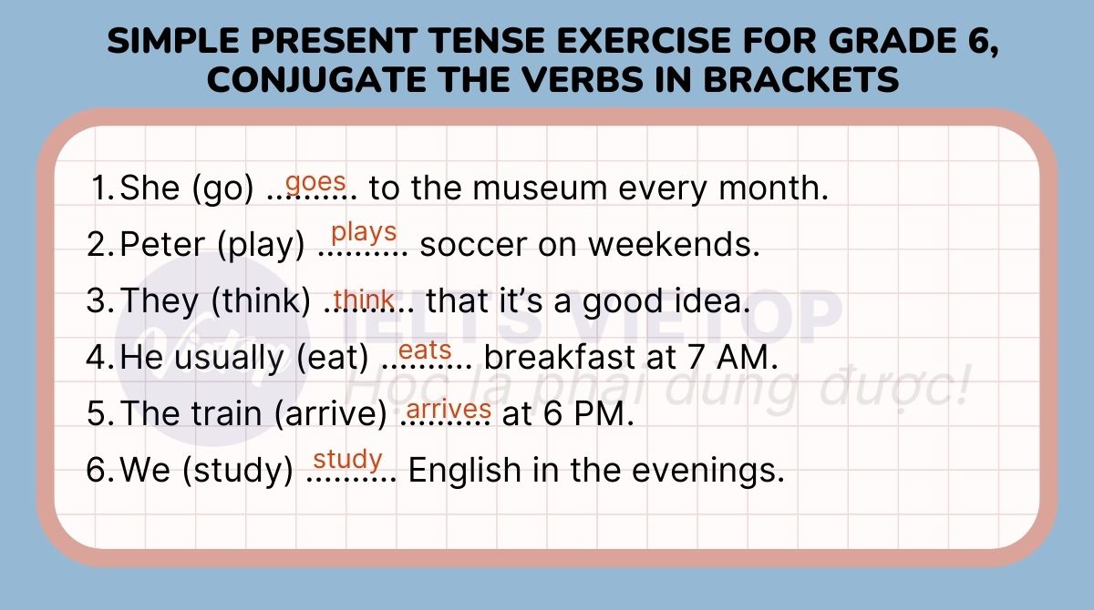 Conjugate the verbs in brackets