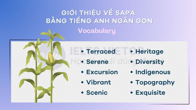 Từ vựng giới thiệu về Sapa bằng tiếng Anh ngắn gọn