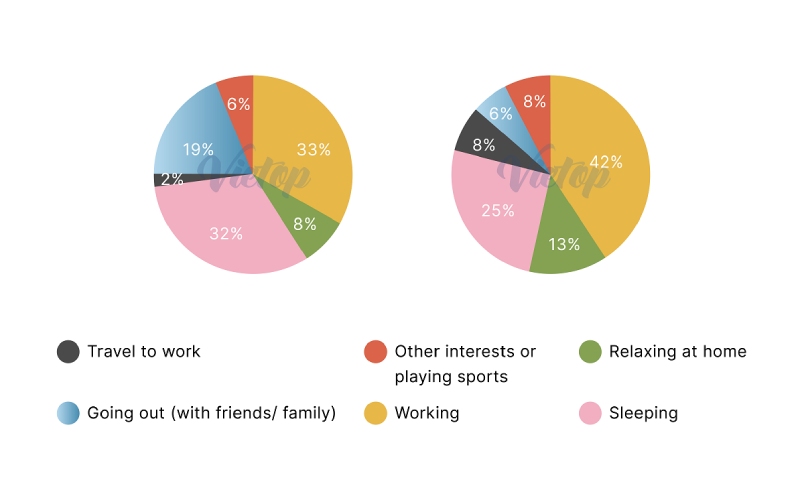 Minh họa cho dạng Pie Chart – biểu đồ tròn trong IELTS Writing Task 1 (IELTS Academic)