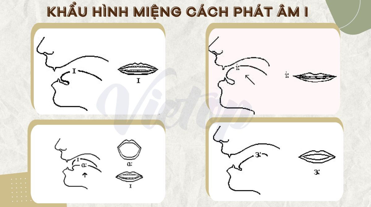 Hướng dẫn cách phát âm i chuẩn IPA