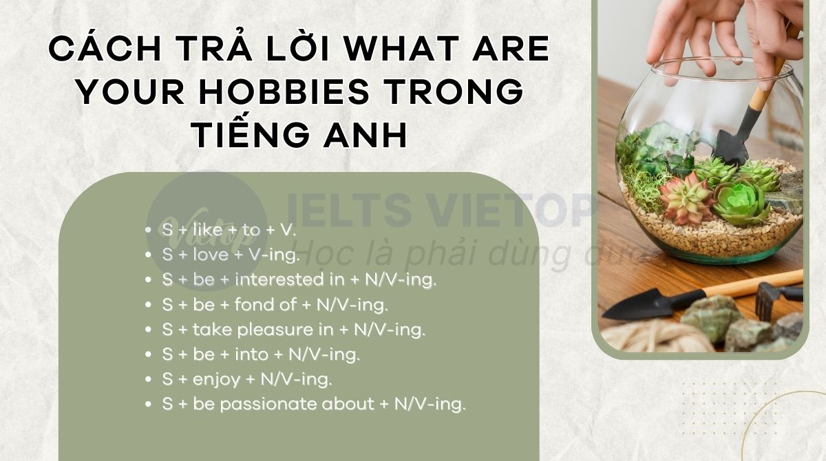 Các cách trả lời what are your hobbies