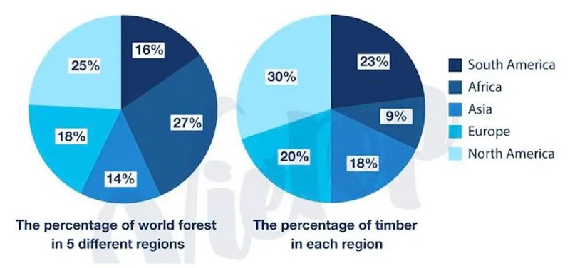 từ vựng Pie chart