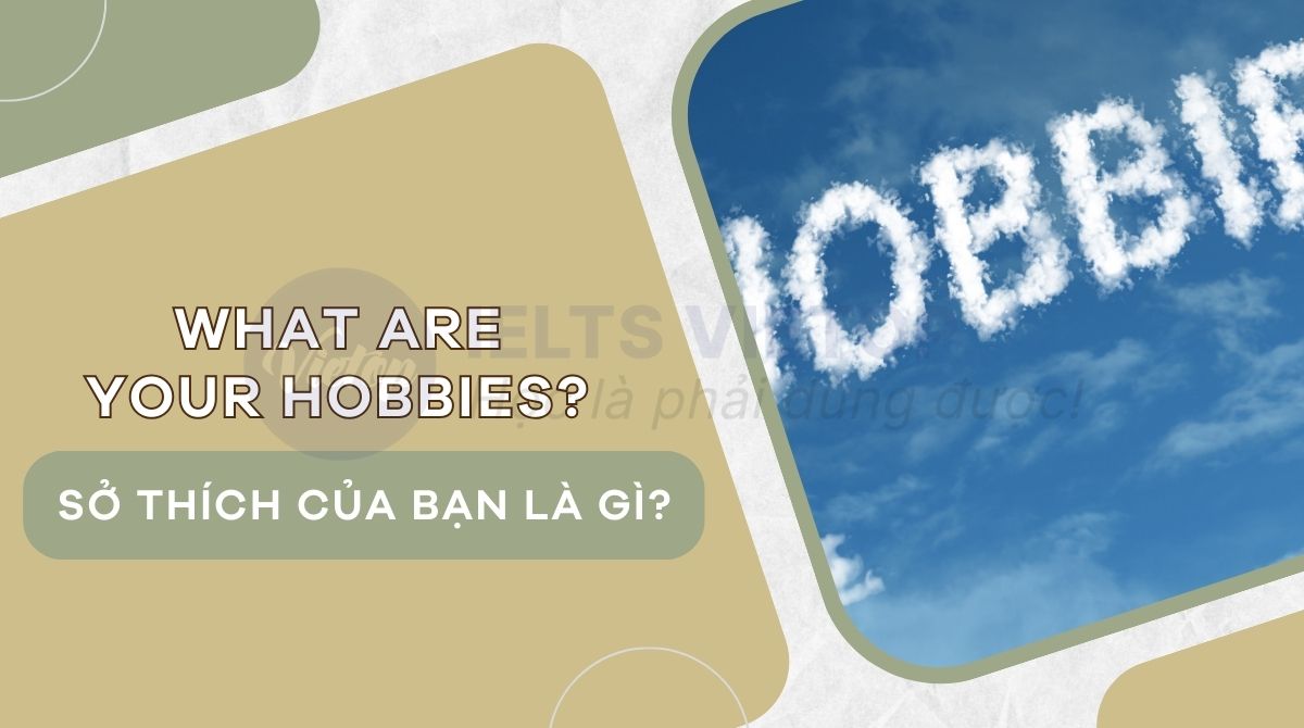 What are your hobbies là gì?