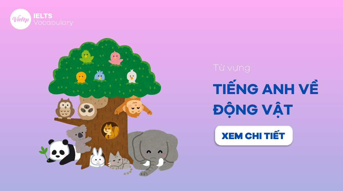 từ vựng về động vật