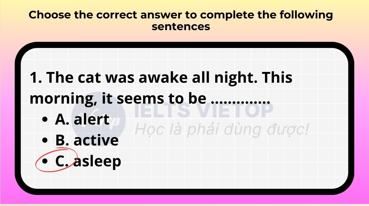 Exercise 3: Choose the correct answer to complete the following sentences