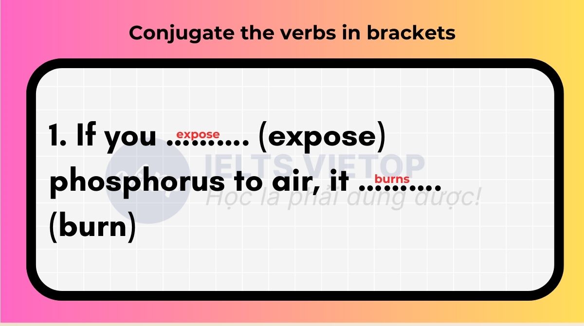 Conjugate the verbs in brackets