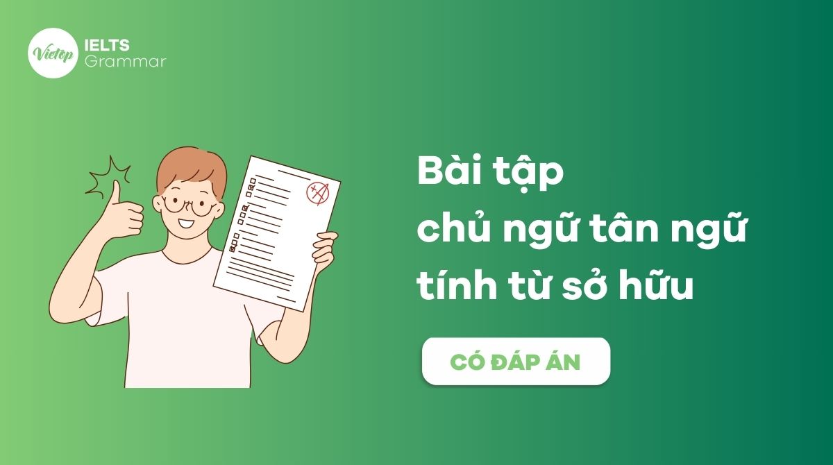 99+ bài tập chủ ngữ tân ngữ tính từ sở hữu có đáp án