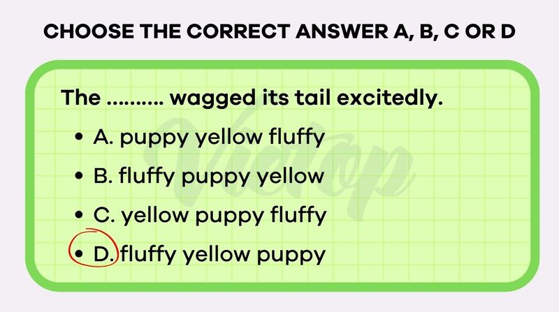 Choose the correct answer A, B, C or D