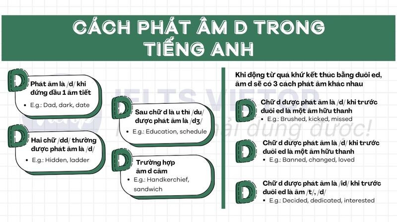 Cách phát âm d trong tiếng Anh