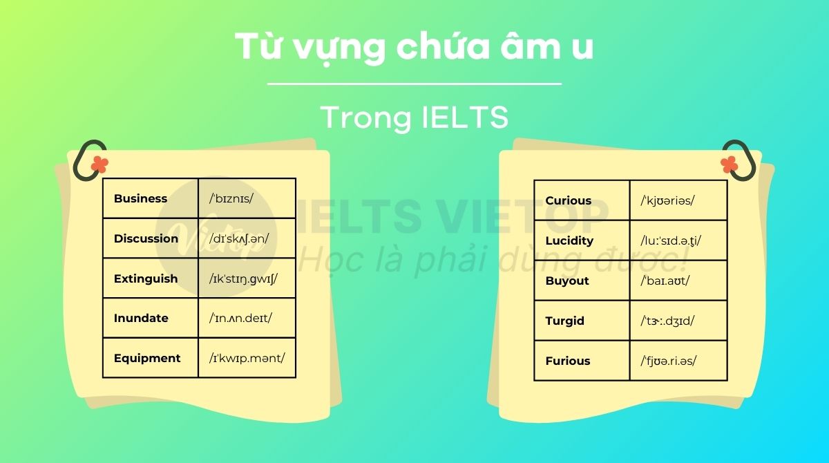 Từ vựng chứa âm u thường xuất hiện trong IELTS